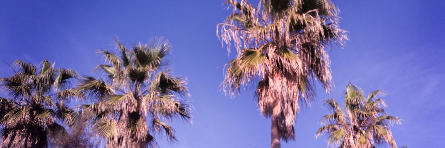 HeroediPalo's profile banner image