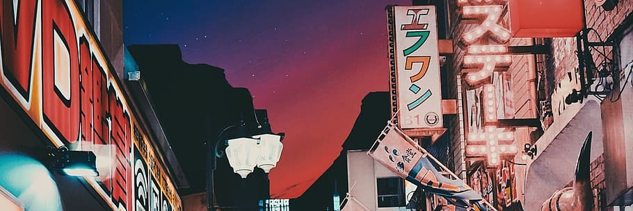 Mushroom 🍄 banner