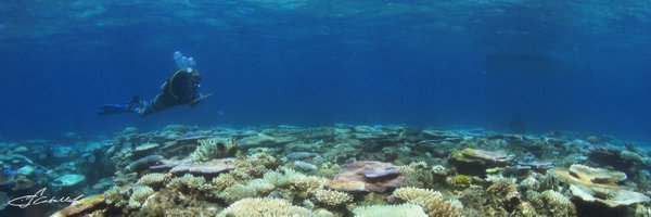 CoralReefEcoLab Profile Banner