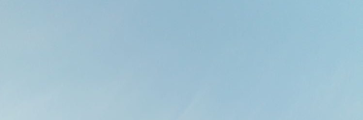 tgabysousa's profile banner image
