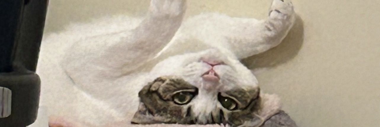 ktnc0917's profile banner image