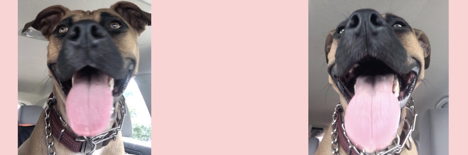 cassadygreenwoo's profile banner image