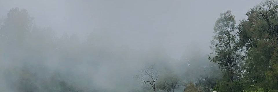 tiwukaaa's profile banner image