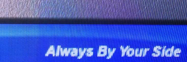 𝗀𝖺𝖾𝗅. banner