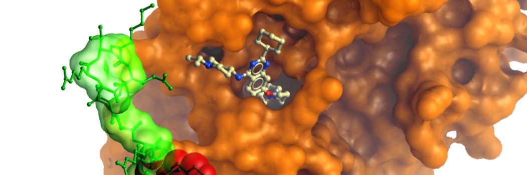 Structural Genomics Consortium (SGC)'s banner