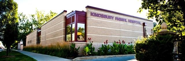KingsburyAH's profile banner image