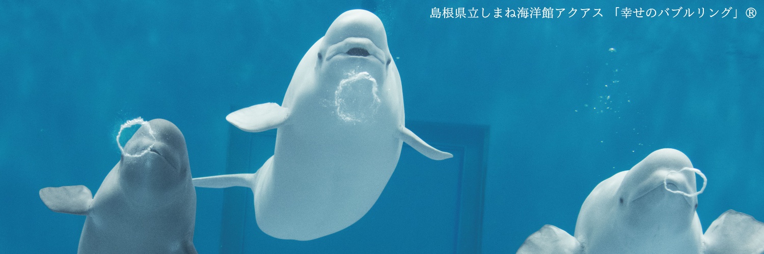 島根県立しまね海洋館アクアス's banner