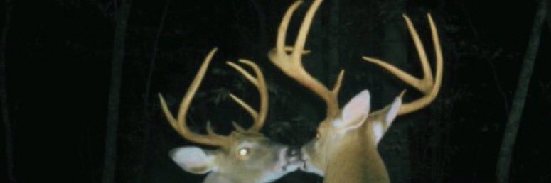 bren 🖖🏼's banner