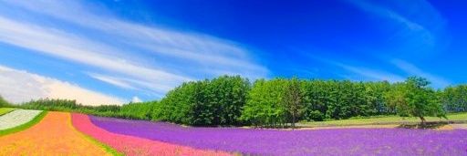 mimicha_ravers's profile banner image