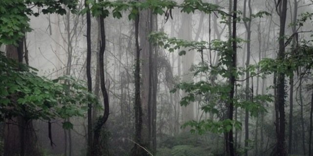 vuInerabIe's profile banner image