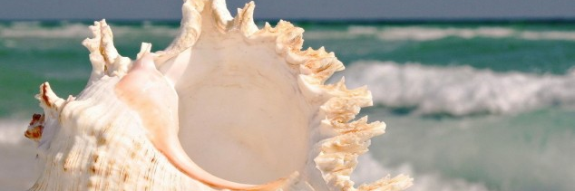 Sco971's profile banner image