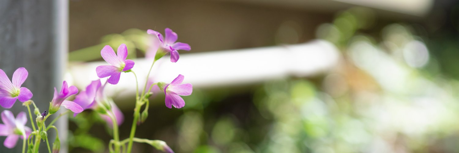 mapu_latte's profile banner image