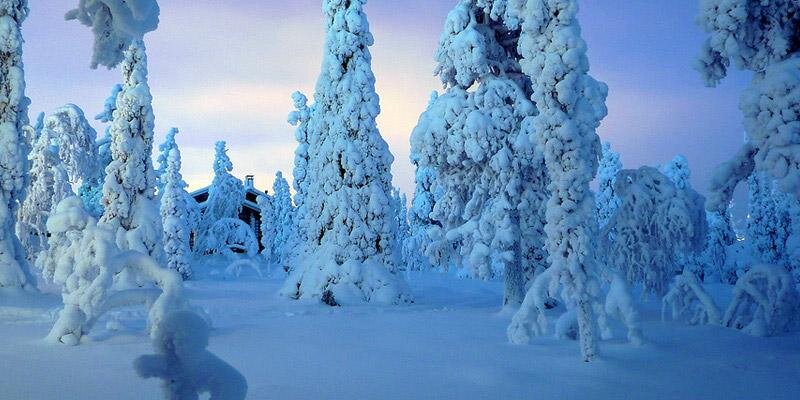 LapinKOKnuoret's profile banner image