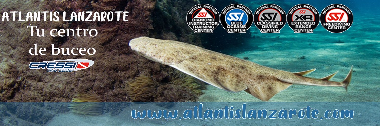 AtlantisLZT's profile banner image