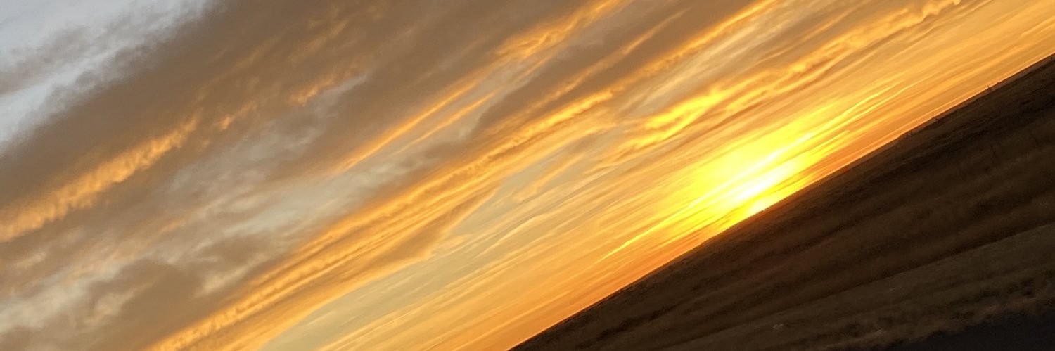 LucyArraya's profile banner image
