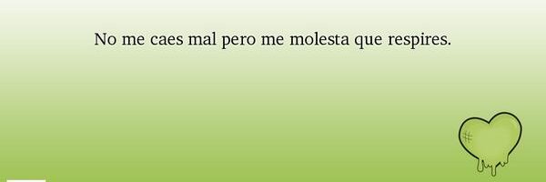 Mosquito impertinente (boop/bop/beep) 🇮🇱. banner