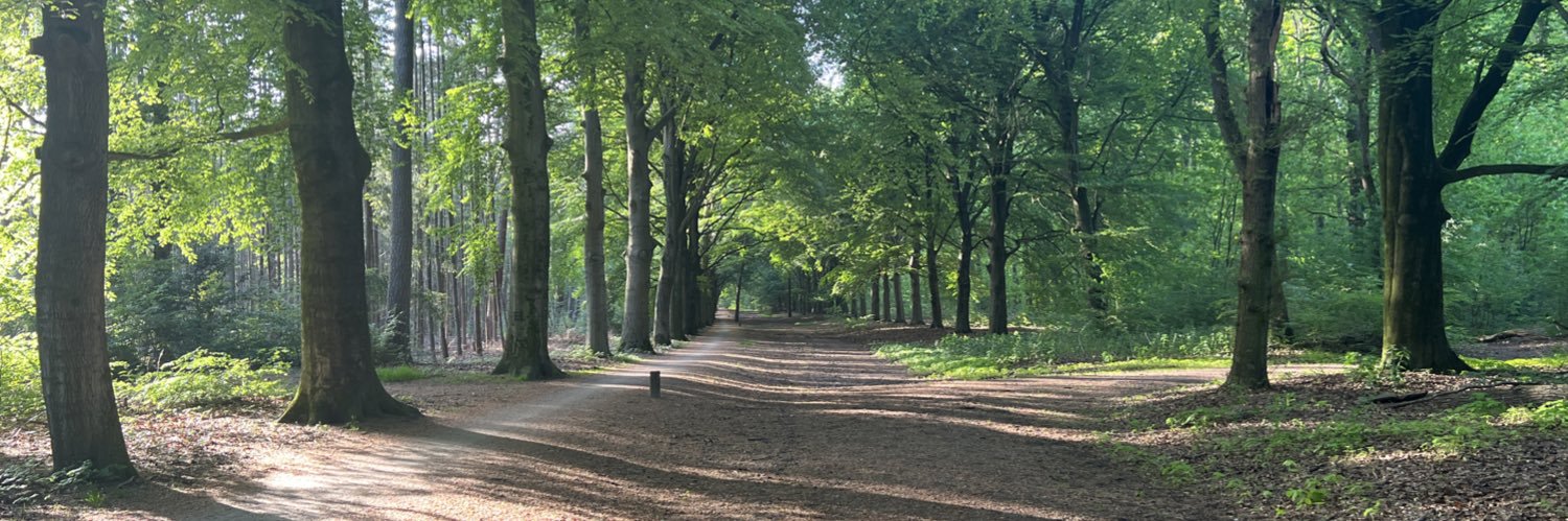 AndreHeeringa's profile banner image