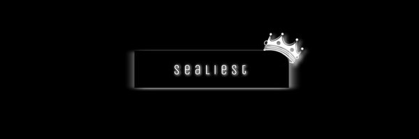 sealiest Profile Banner