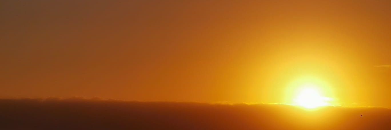 ollikellner's profile banner image