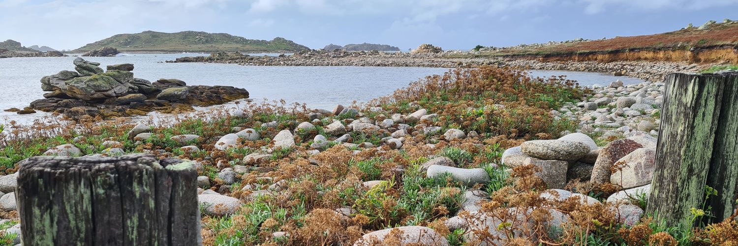 Jeremy Lindsell banner