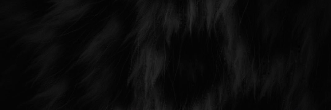 livv banner