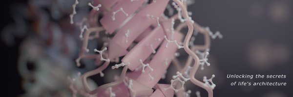 rborza_ Profile Banner