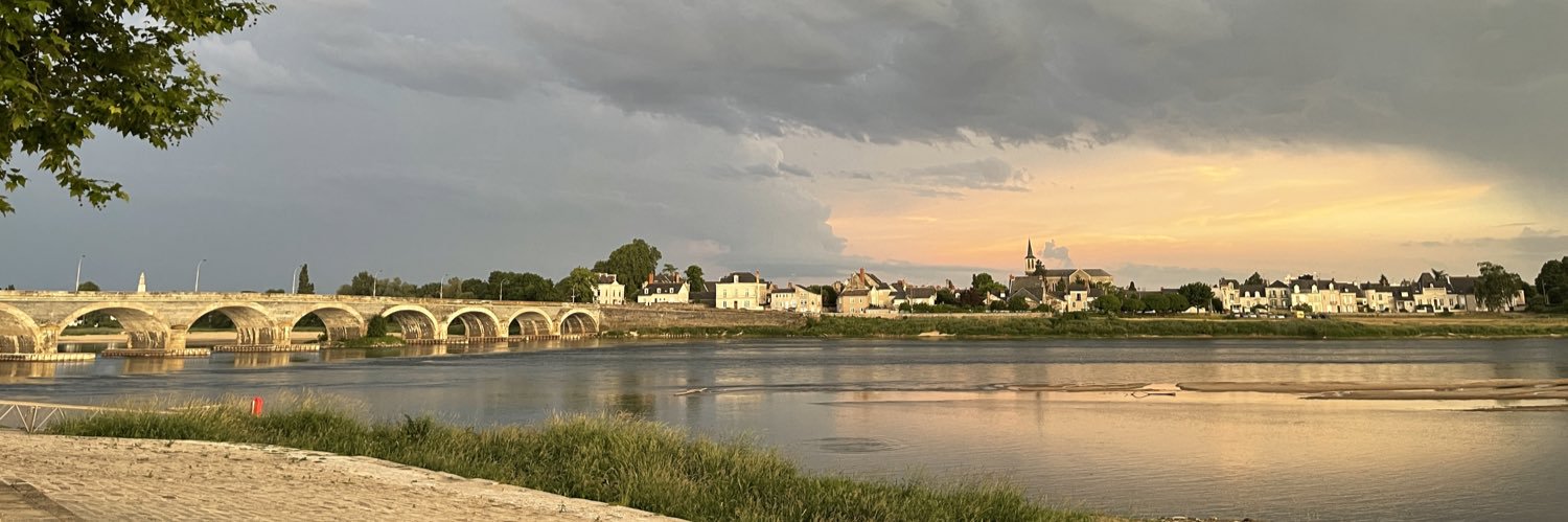 Vincent Guibert banner