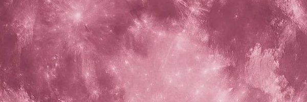 enhaonlywon Profile Banner