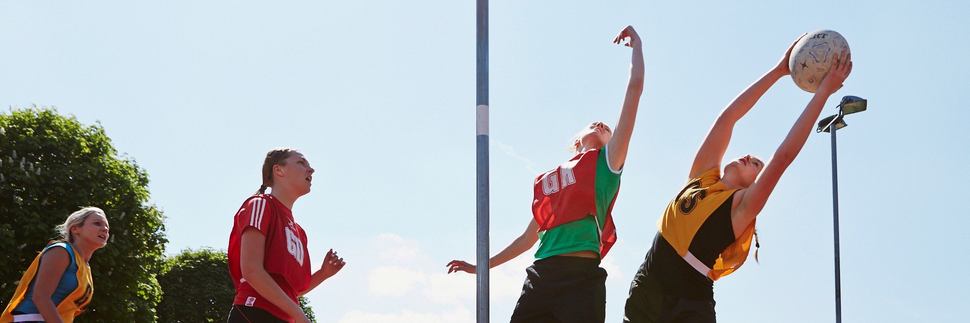 Netbusters_org's profile banner image