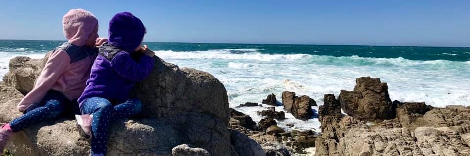 Dr. Amy Reckdenwald banner