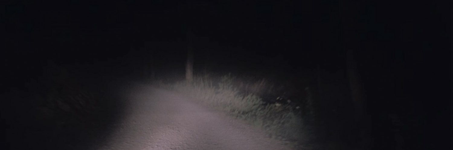 noah 🦇 STREAM VINDICATE banner