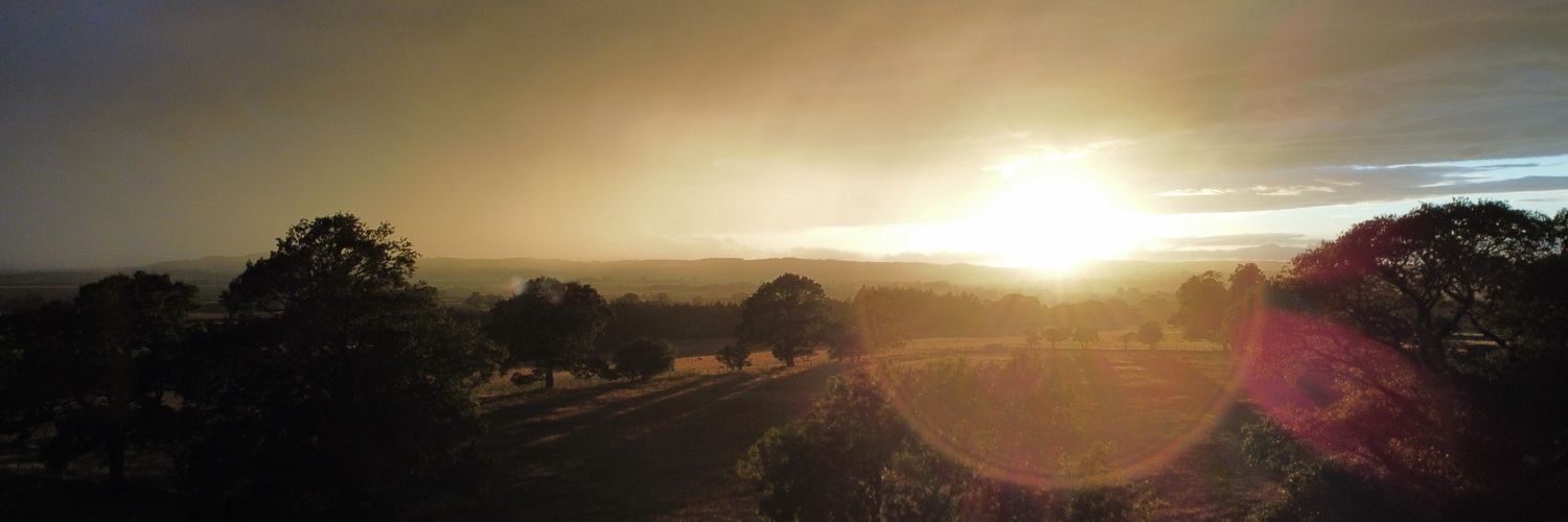 Chloe__tweets's profile banner image