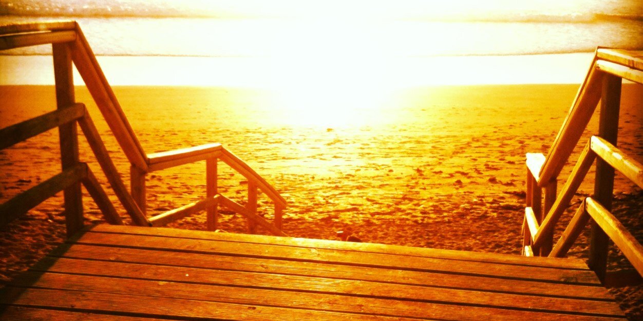 patri fernandez banner