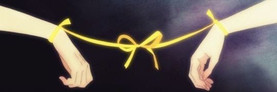 Amapola de papel banner