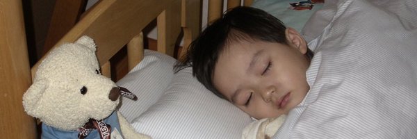 bg_isbear Profile Banner