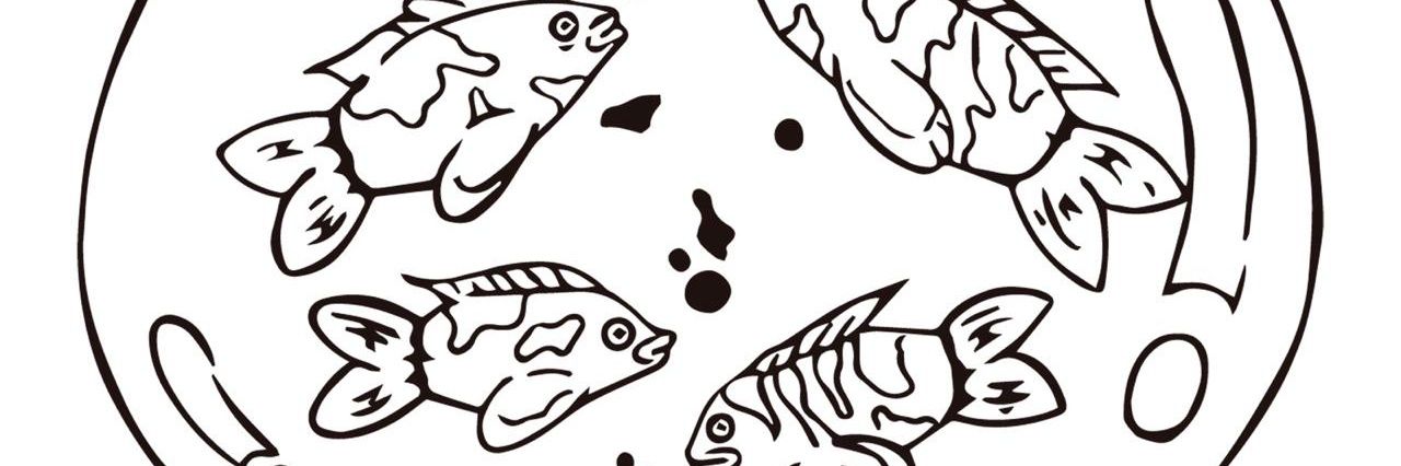 Cienpeces's profile banner image