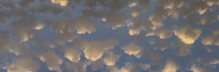 MPiaSaavedra's profile banner image