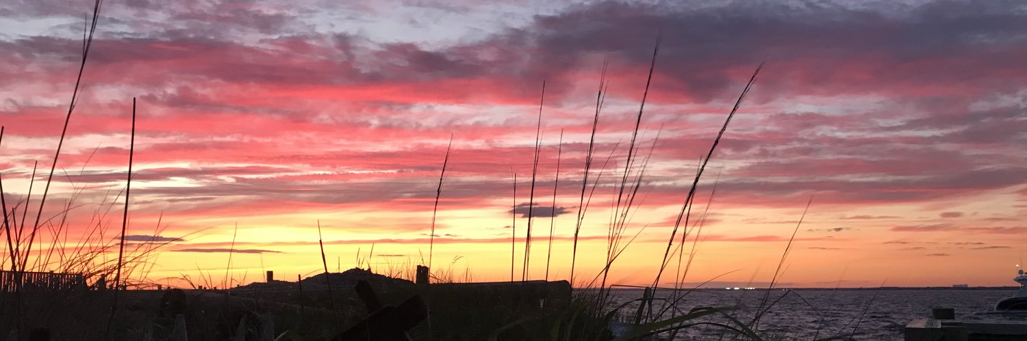 taylorcaputo_'s profile banner image