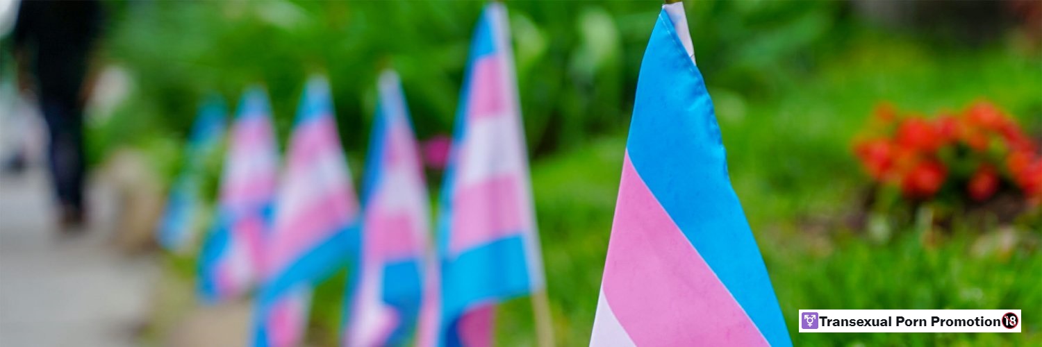 ⚧️Transexual Porn🔞 banner