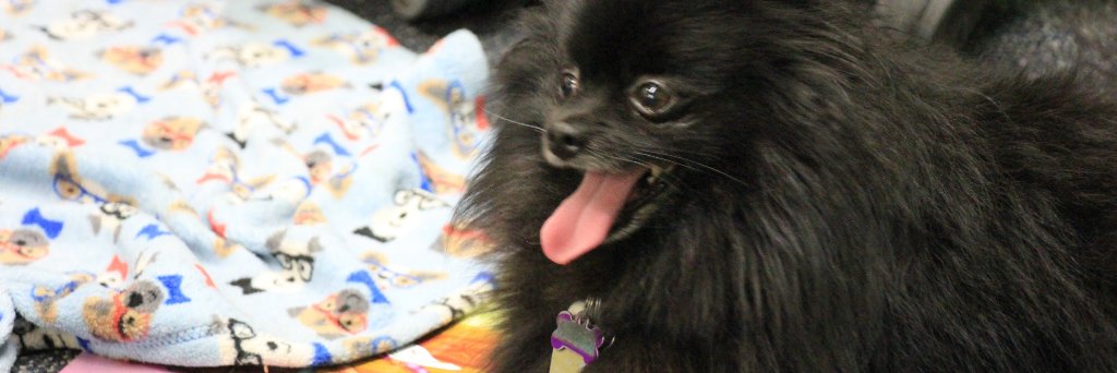 AsSeenOnMimi's profile banner image