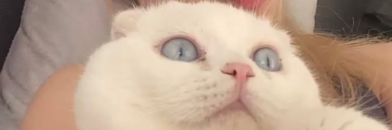 dogayanit's profile banner image