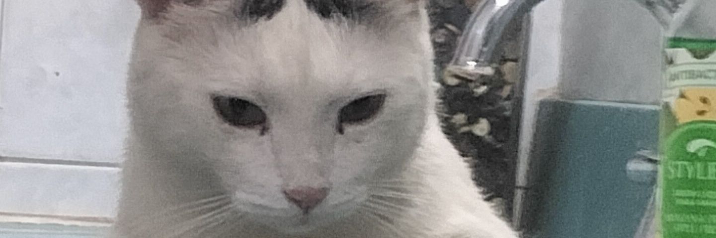 Catriverto y Fuljemcio igos de Don Biego Pelon banner