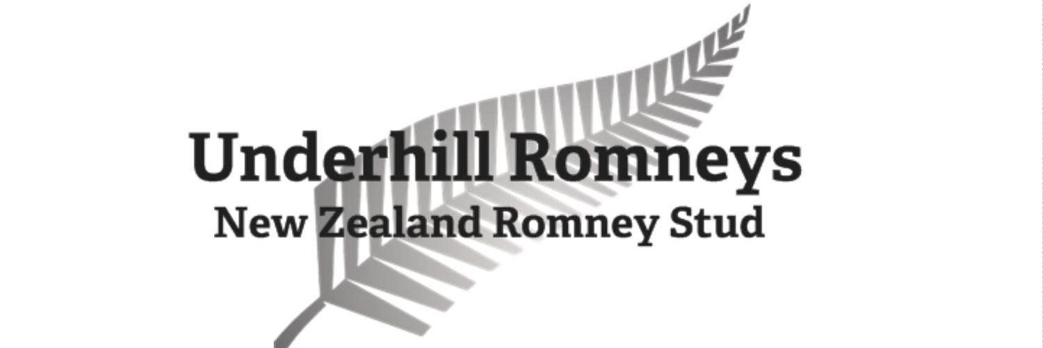 UnderhillRomney's profile banner image