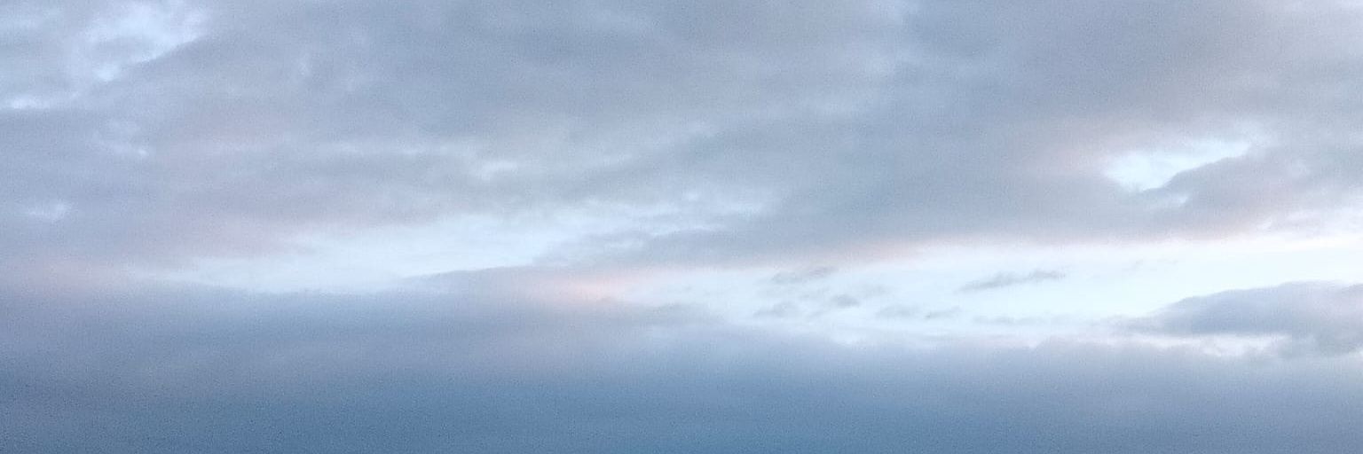 Pol Berrill Membrives banner