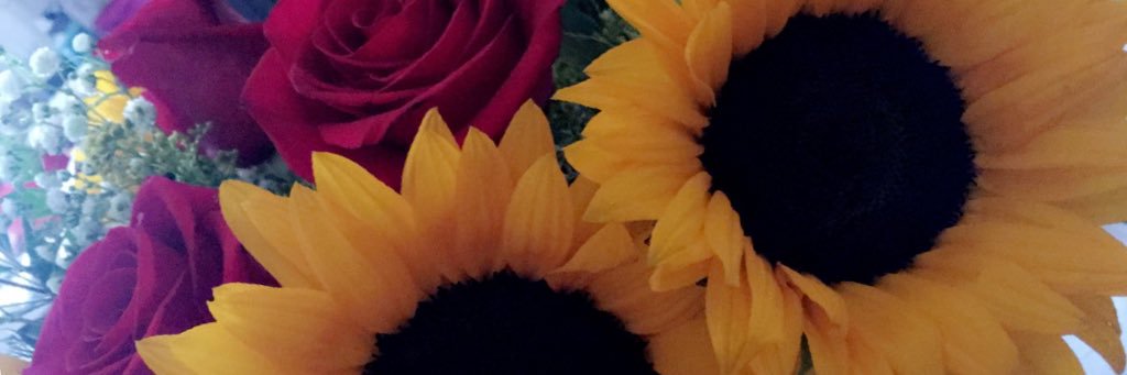 elevenxtwo's profile banner image