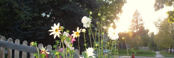 DvampireSmile Profile Banner