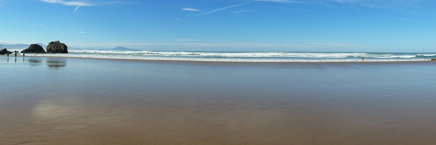 Jean B. Daban ن 🌿 banner