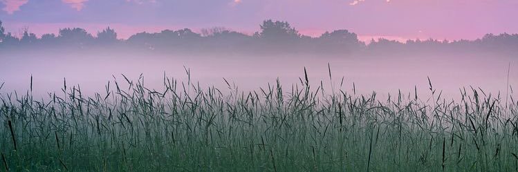 Kevin Pham, Ph.D. banner