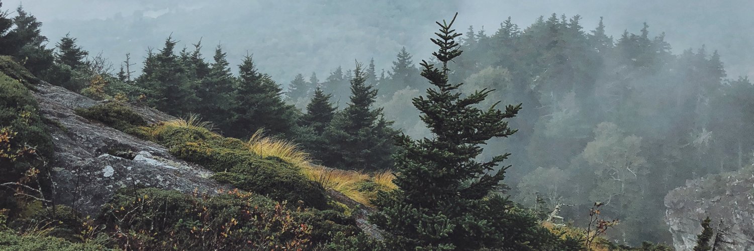 MattChambrs's profile banner image