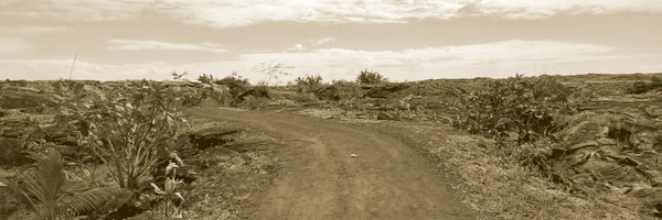 Bert_isms Profile Banner